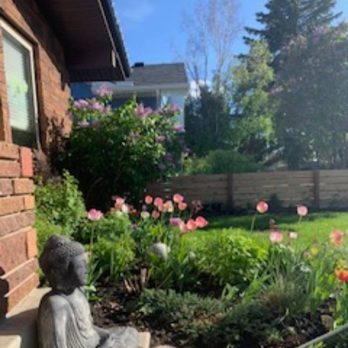 Pet and house sitting job  in Calgary  Alberta House 